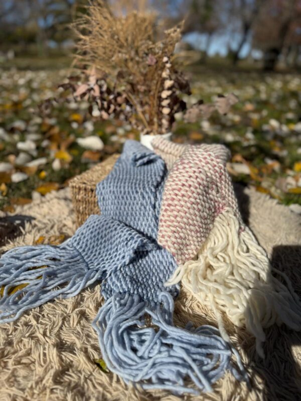 IMG-20251029-WA0027 BUFANDONES